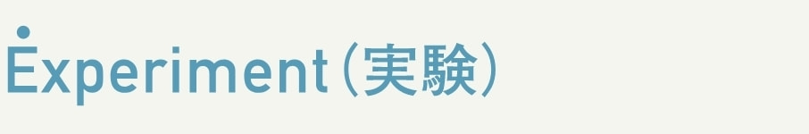 Experiment(実験)